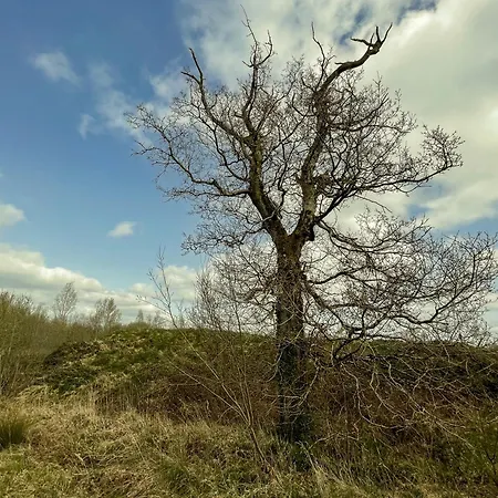 Lough Rynn Holiday home *