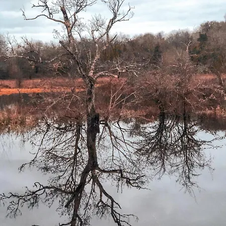 Holiday home Lough Rynn Mohill