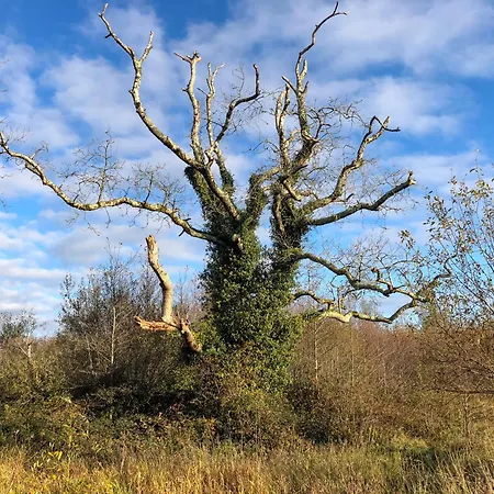 Dom wakacyjny Lough Rynn *