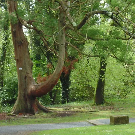 Holiday home Lough Rynn