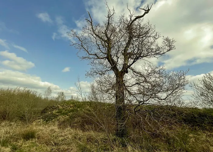 Lough Rynn Feriehus *