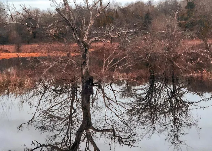 Feriehus Lough Rynn Mohill
